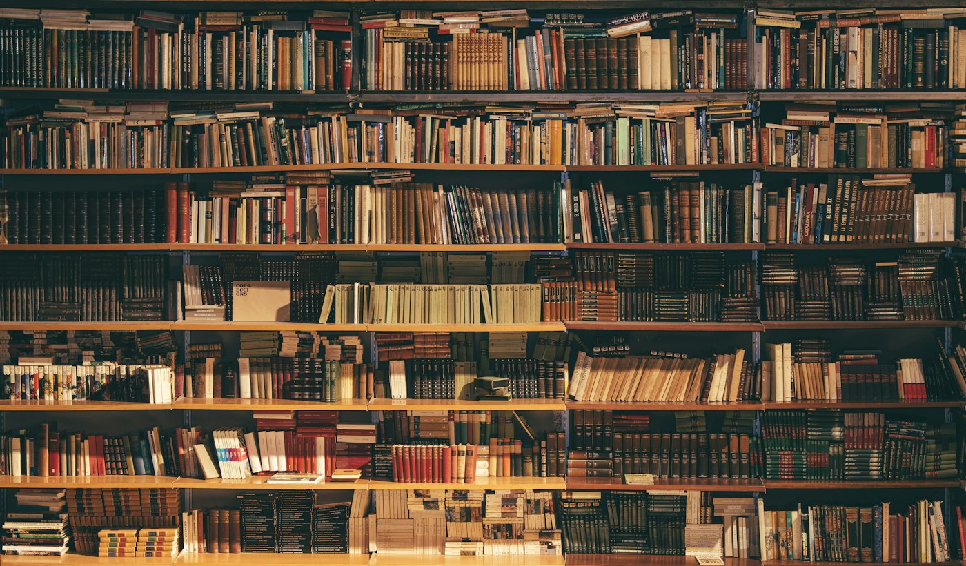 Sunlit library stacks representing scholarly knowledge